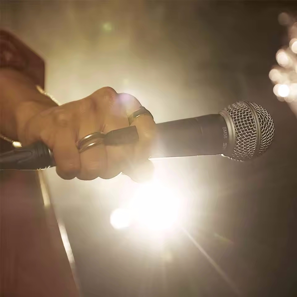 Microfono dinamico per karaoke - Shure Mic Sm58 recensione e prezzo